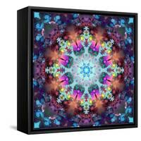 Ornament from Flowers-Alaya Gadeh-Framed Stretched Canvas