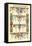 Ornament-German Renaissance-Racinet-Framed Stretched Canvas