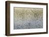 Ornament I-Mali Nave-Framed Giclee Print