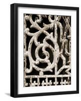 Ornament I-Jim Christensen-Framed Photographic Print