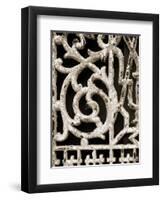 Ornament I-Jim Christensen-Framed Photographic Print