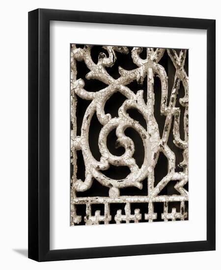 Ornament I-Jim Christensen-Framed Photographic Print