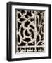 Ornament I-Jim Christensen-Framed Photographic Print