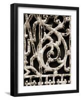 Ornament III-Jim Christensen-Framed Photographic Print