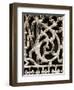 Ornament III-Jim Christensen-Framed Photographic Print