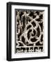 Ornament III-Jim Christensen-Framed Photographic Print