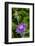 Ornamental Artichoke, Blooming in the Garden-Michael Qualls-Framed Photographic Print