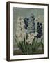 Ornamental - Blois-Stephanie Monahan-Framed Giclee Print