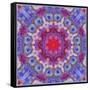 Ornamental Blossoms Mandala-Alaya Gadeh-Framed Stretched Canvas