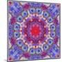 Ornamental Blossoms Mandala-Alaya Gadeh-Mounted Photographic Print