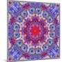 Ornamental Blossoms Mandala-Alaya Gadeh-Mounted Photographic Print