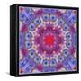 Ornamental Blossoms Mandala-Alaya Gadeh-Framed Stretched Canvas