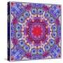 Ornamental Blossoms Mandala-Alaya Gadeh-Stretched Canvas