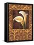 Ornamental Callas-Andres Gonzales-Framed Stretched Canvas