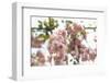 Ornamental Cherry Tree Blossoms in Abundance on a Branch-Petra Daisenberger-Framed Photographic Print