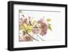 Ornamental Cherry Tree Blossoms in Abundance on a Branch-Petra Daisenberger-Framed Photographic Print