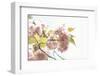 Ornamental Cherry Tree Blossoms in Abundance on a Branch-Petra Daisenberger-Framed Photographic Print