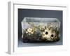 Ornamental Container with Impressionist-Style Floral Decorations-Eugenio Bellosio-Framed Giclee Print