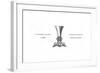 Ornamental Cup, 1645-Henry Shaw-Framed Giclee Print