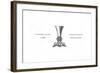 Ornamental Cup, 1645-Henry Shaw-Framed Giclee Print