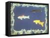 Ornamental Fish-David Alan Redpath Michie-Framed Stretched Canvas