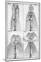 Ornamental Fountain Design, 1664-Georg Andreas Bockler-Mounted Giclee Print