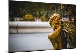 Ornamental Fountains of the Palace of Aranjuez, Madrid, Spain.World Heritage Site by UNESCO in 2001-outsiderzone-Mounted Photographic Print