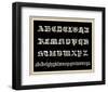 Ornamental French Alphabet (black)-null-Framed Art Print