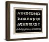 Ornamental French Alphabet (black)-null-Framed Art Print