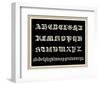 Ornamental French Alphabet (black)-null-Framed Art Print