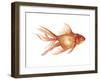 Ornamental Goldfish II-Emma Scarvey-Framed Art Print