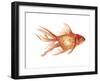 Ornamental Goldfish II-Emma Scarvey-Framed Art Print