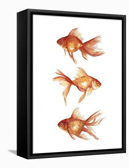 Ornamental Goldfish III-Emma Scarvey-Framed Stretched Canvas