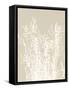 Ornamental Grass I Neutral-Kathy Ferguson-Framed Stretched Canvas