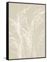 Ornamental Grass V Neutral-Kathy Ferguson-Framed Stretched Canvas