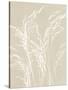 Ornamental Grass V Neutral-Kathy Ferguson-Stretched Canvas