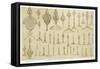 Ornamental Knobs Shaped as Domes and Minarets, from "Art and Industry"-Jean Francois Albanis De Beaumont-Framed Stretched Canvas