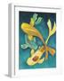 Ornamental Koi I-Chariklia Zarris-Framed Art Print