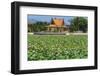 Ornamental lake covered with lily pads by temple pavilion, Cambodia-Robert Francis-Framed Photographic Print