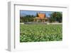 Ornamental lake covered with lily pads by temple pavilion, Cambodia-Robert Francis-Framed Photographic Print