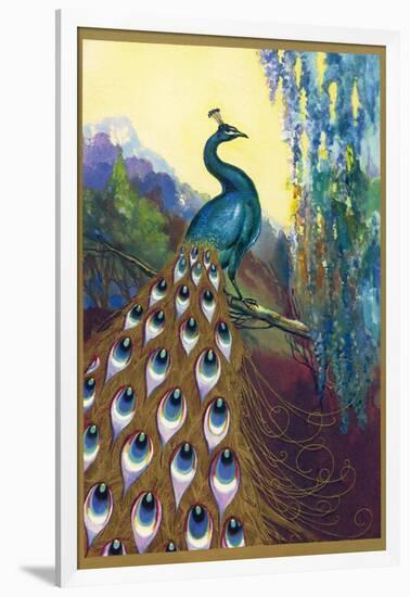 Ornamental Peacock-null-Framed Photographic Print