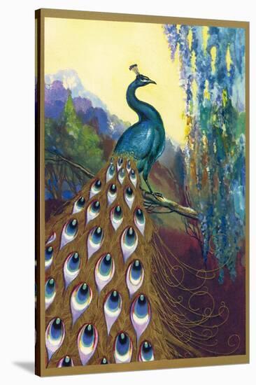 Ornamental Peacock-null-Stretched Canvas