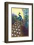 Ornamental Peacock-null-Framed Photographic Print