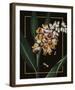 Ornamental - Picardy Luxe-Stephanie Monahan-Framed Giclee Print