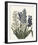 Ornamental Pure - Blois-Stephanie Monahan-Framed Giclee Print