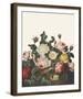 Ornamental Pure - Bosquet-Stephanie Monahan-Framed Giclee Print