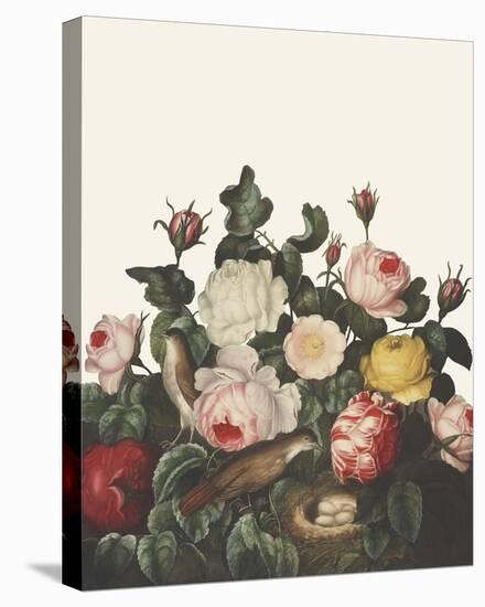 Ornamental Pure - Bosquet-Stephanie Monahan-Stretched Canvas