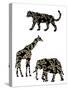 Ornamental Safari Animals III-Regina Moore-Stretched Canvas