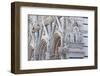 Ornamental Statuary on Facade of the Cathedral of Santa Maria Assunta, Siena, Tuscany-Ruth Tomlinson-Framed Photographic Print