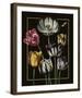 Ornamental - Thierry Luxe-Stephanie Monahan-Framed Giclee Print